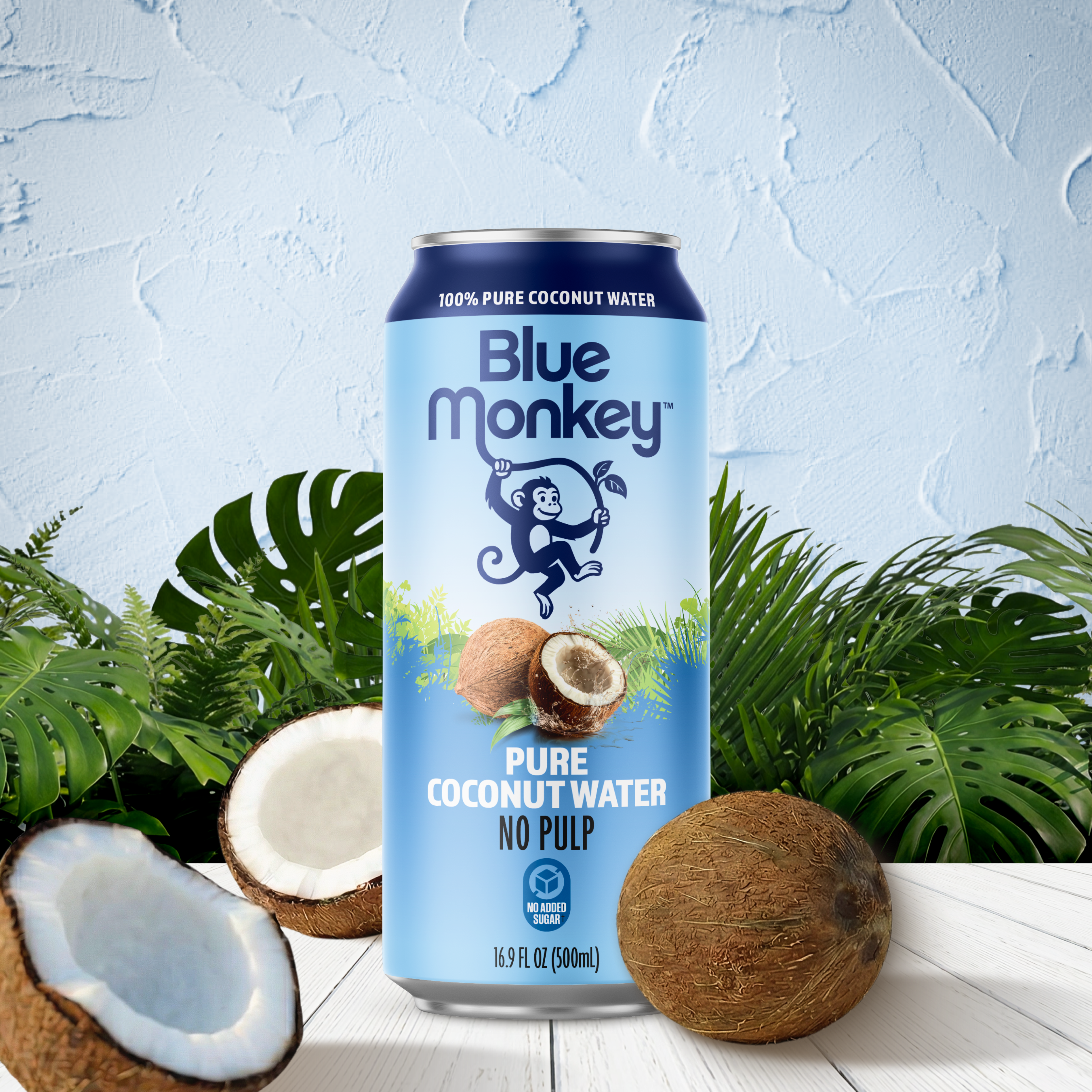 Coconut Water 11.2oz/330ml - 24 pack