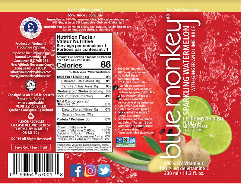 Watermelon Limeade Watermelon Juice Packet Sparkling Watermelon